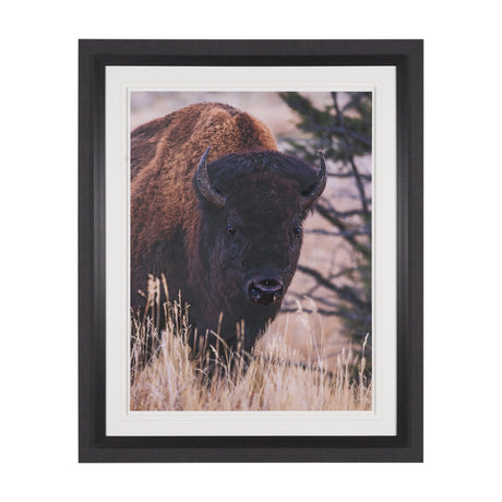 Stop Horsing Around by Gary Blatter Hand Embelished Framed Art Print Matted under Glass by Mercana at Eve Furniture