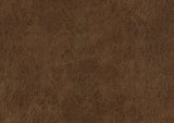 Strata Brown Dining Side Chair, Set of 2 by Homelegance at Eve Furniture