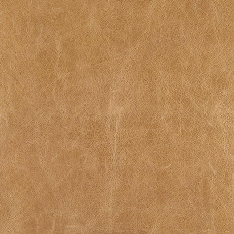 Stratton Gunmetal w/ Genuine Brown Leather Upholstered Accent Chair by Mercana at Eve Furniture
