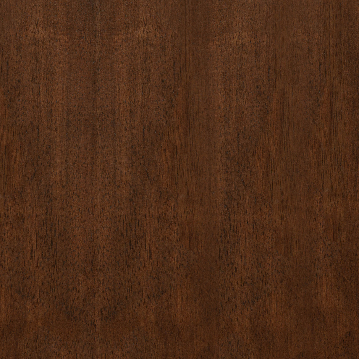 Strouse Walnut 5-piece Dining Set by Coaster at Eve Furniture