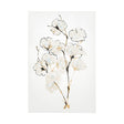 Summer Cotton IV by Chris Paschke a Hand Embellished Textured Canvas by Mercana at Eve Furniture
