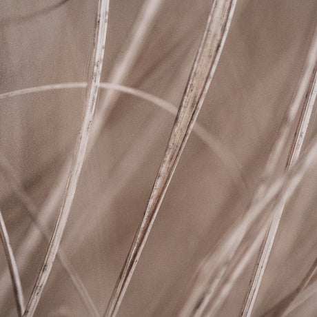 Summer Grass 3 by Mareike Bohmer Hand-Embellished Textured Framed Canvas Art Print by Mercana at Eve Furniture