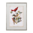 Summer Red Bird by John James Audubon a Framed Art Print Matted under Glass by Mercana at Eve Furniture