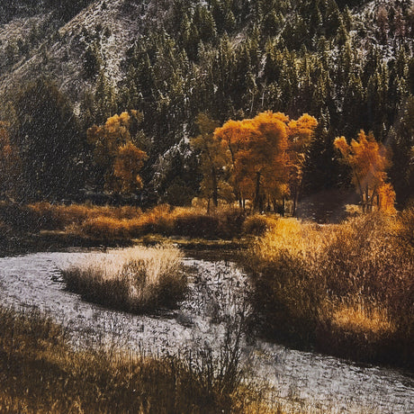 Summit Trail by Bobbie Goodrich a Hand Embellished Framed Photo Art Print Matted under Glass by Mercana at Eve Furniture