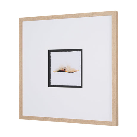 Sundown II by Mercana Studio a Framed Art Print by Mercana at Eve Furniture
