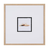 Sundown II by Mercana Studio a Framed Art Print by Mercana at Eve Furniture