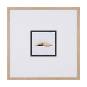 Sundown II by Mercana Studio a Framed Art Print by Mercana at Eve Furniture
