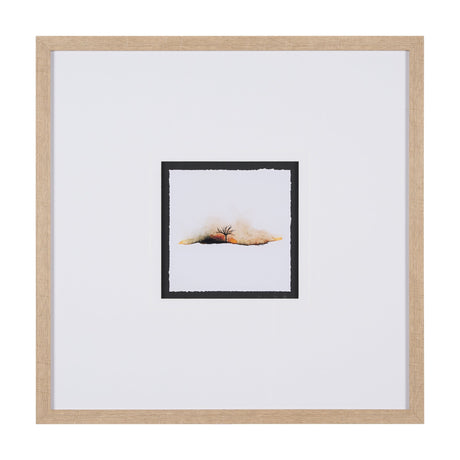 Sundown II by Mercana Studio a Framed Art Print by Mercana at Eve Furniture