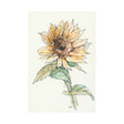 Sunflower I by Mercana Studio a Hand Embellished Textured Canvas by Mercana at Eve Furniture
