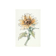 Sunflower II by Mercana Studio a Hand Embellished Textured Canvas by Mercana at Eve Furniture