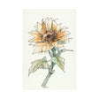 Sunflower II by Mercana Studio a Hand Embellished Textured Canvas by Mercana at Eve Furniture