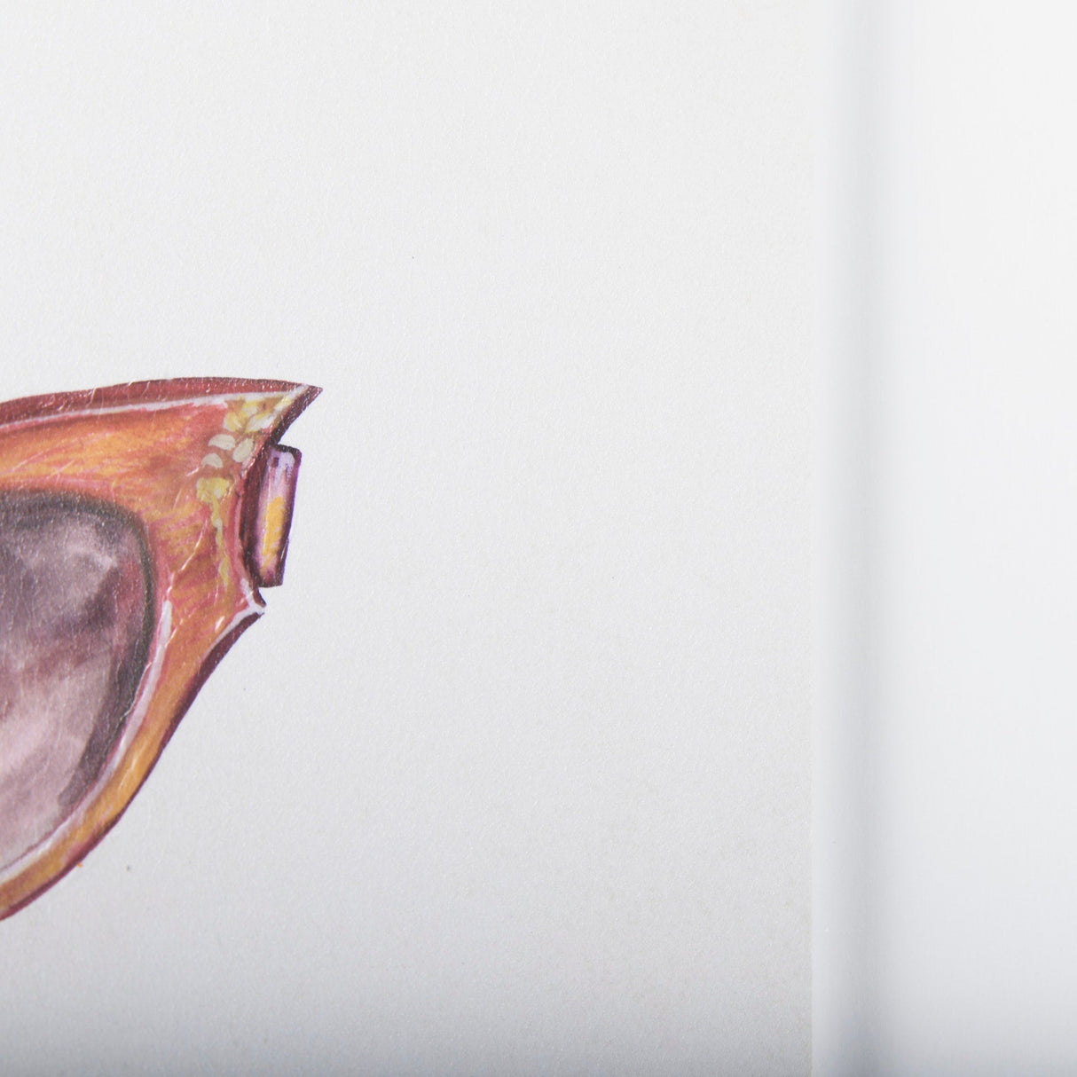 Sunglass Collection II by Mercana Studio Hand Embellished Framed Art Print Matted under Glass by Mercana at Eve Furniture