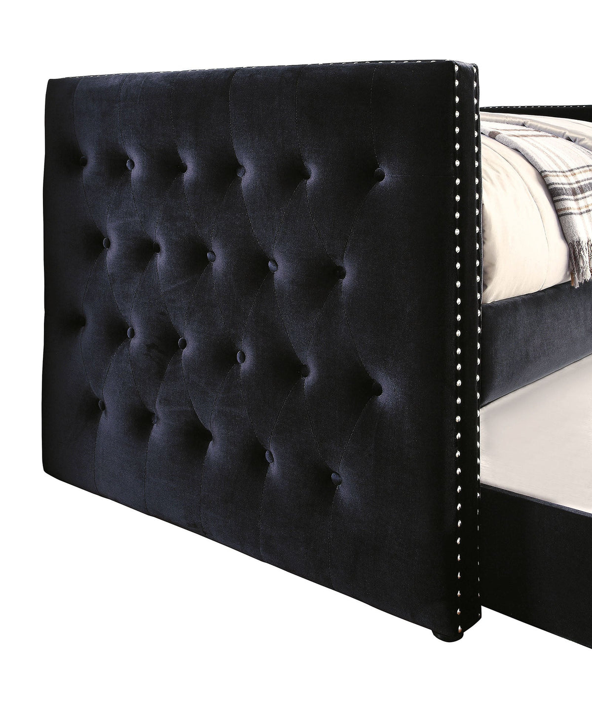 Susanna Black Daybed with Trundle by Furniture of America at Eve Furniture