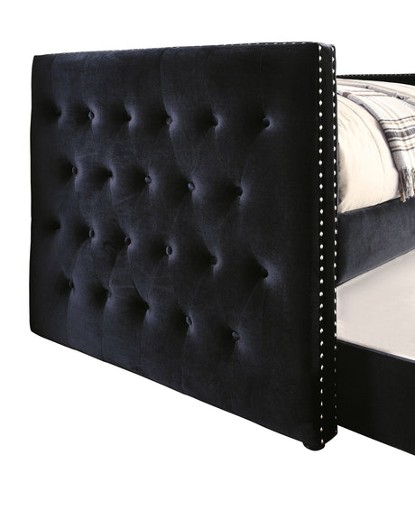 Susanna Black Daybed with Trundle by Furniture of America at Eve Furniture