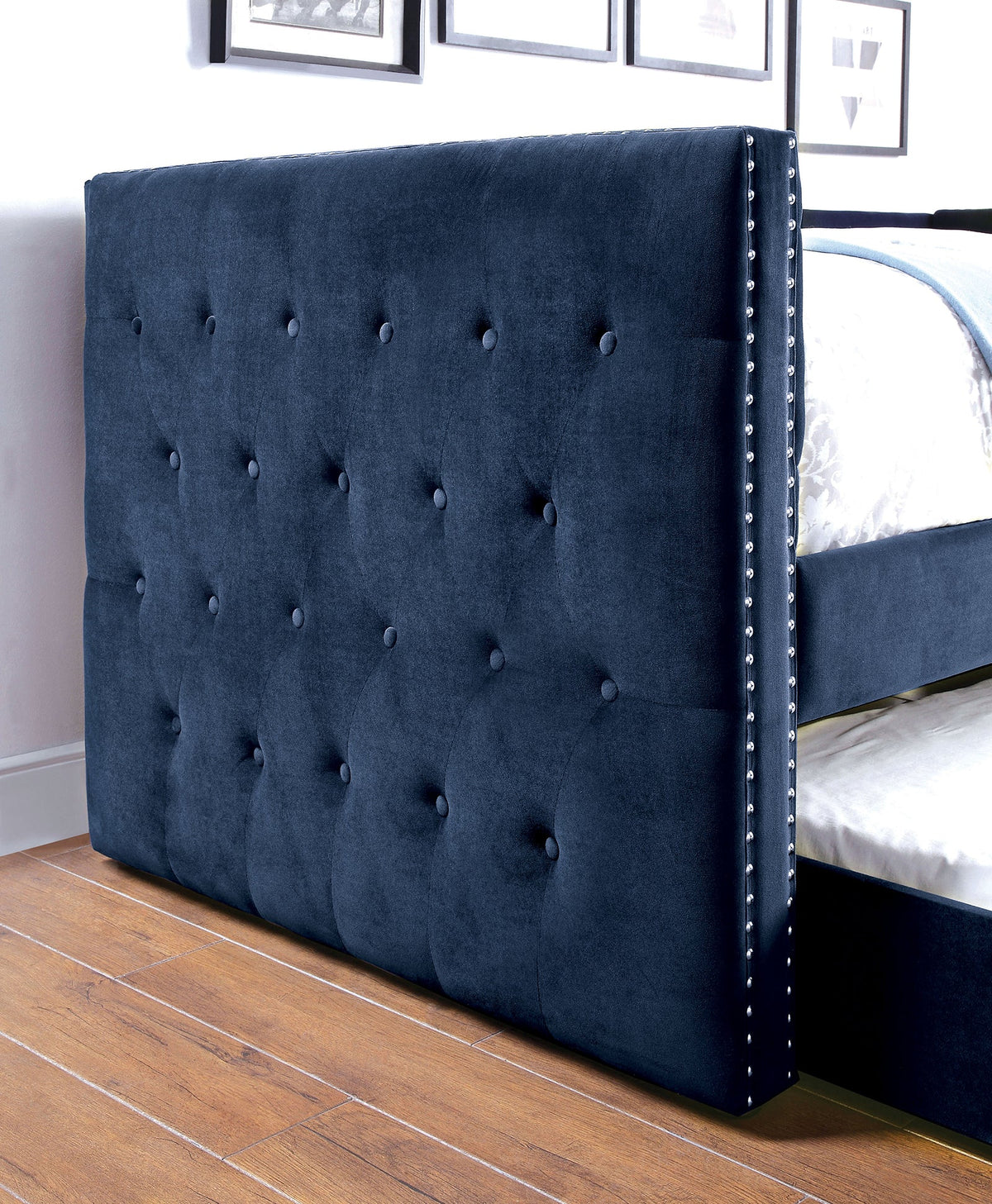 Susanna Navy Daybed with Trundle by Furniture of America at Eve Furniture