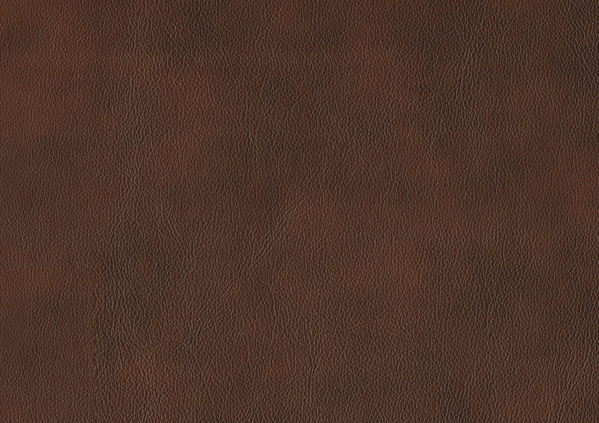 Sutton Brown Leather Power Double Reclining Sofa with Power Headrests and Charging Ports by Homelegance at Eve Furniture