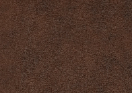 Sutton Brown Leather Power Double Reclining Sofa with Power Headrests and Charging Ports by Homelegance at Eve Furniture