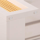 Suzie Rattan Executive Desk by TOV Furniture at Eve Furniture