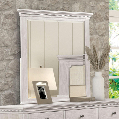 Swanley Weathered Gray Mirror by Furniture of America at Eve Furniture