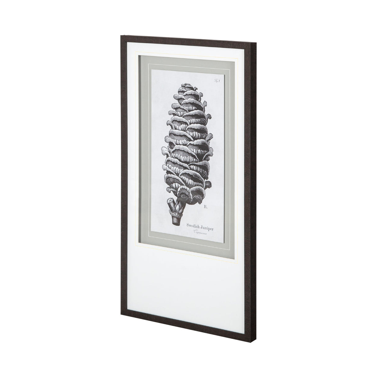 Swedish Juniper by Maria Mendez a Framed Art Print Matted under Glass by Mercana at Eve Furniture