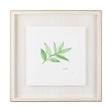 Sweet Bay v2 by Chris Paschke a Framed Art Print Matted under Glass by Mercana at Eve Furniture