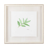 Sweet Bay v2 by Chris Paschke a Framed Art Print Matted under Glass by Mercana at Eve Furniture