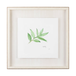 Sweet Bay v2 by Chris Paschke a Framed Art Print Matted under Glass by Mercana at Eve Furniture