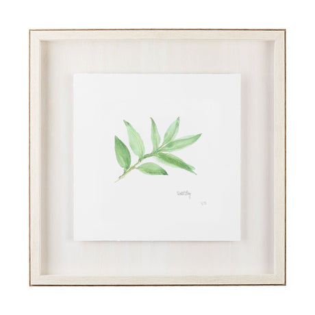 Sweet Bay v2 by Chris Paschke a Framed Art Print Matted under Glass by Mercana at Eve Furniture