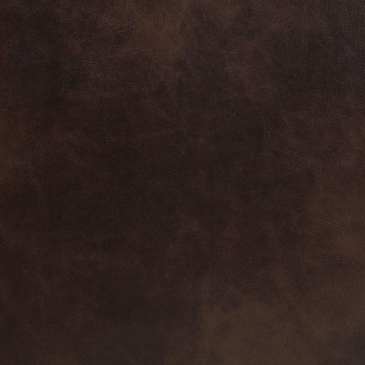 Sycamore Brown Upholstered Power Reclining Sectional by Coaster at Eve Furniture