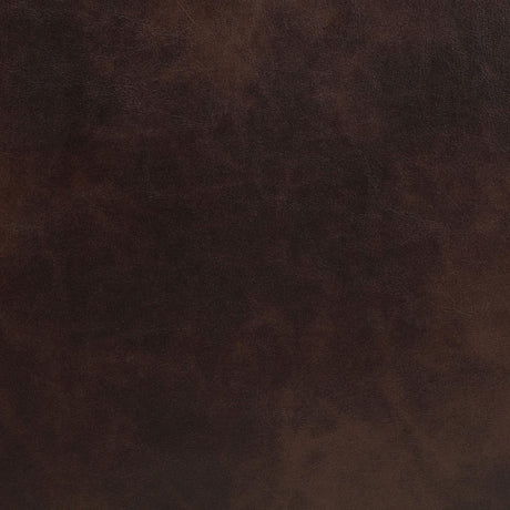 Sycamore Brown Upholstered Power Reclining Sectional by Coaster at Eve Furniture