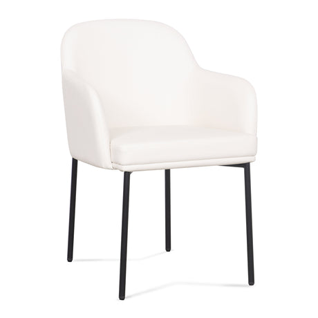 Sydney Performance Vegan Leather Armchair - Set of 2 by TOV Furniture at Eve Furniture