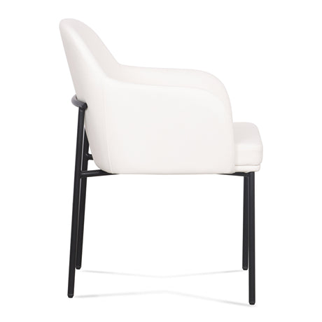 Sydney Performance Vegan Leather Armchair - Set of 2 by TOV Furniture at Eve Furniture