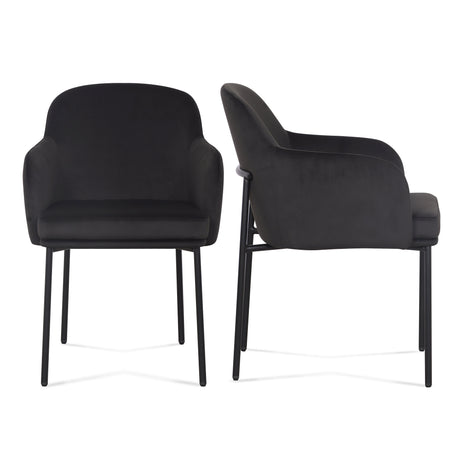 Sydney Performance Velvet Armchair - Set of 2 by TOV Furniture at Eve Furniture