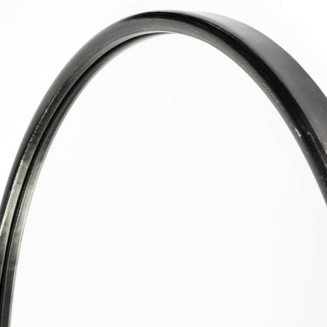 Sylvia II Oval Black Metal Frame Mirror by Mercana at Eve Furniture