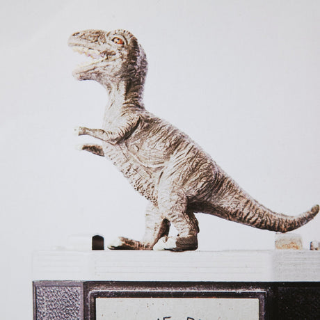 T-rex & Vintage Camera by Susannah Tucker Photography a Framed Photo Art Print Matted under Glass by Mercana at Eve Furniture