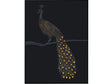 Tail Feathers Black/Yellow Canvas by Crestview at Eve Furniture