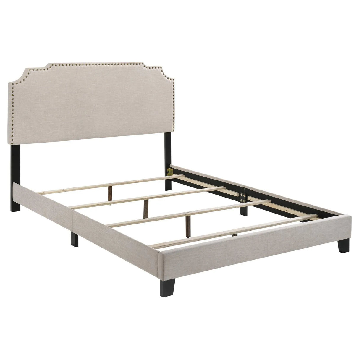 Tamarac Beige Upholstered Nailhead Eastern King Bed by Coaster at Eve Furniture