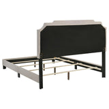 Tamarac Beige Upholstered Nailhead Eastern King Bed by Coaster at Eve Furniture