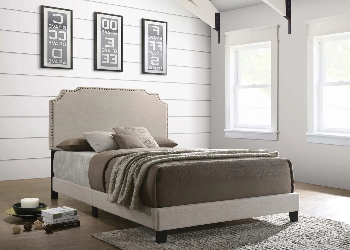 Tamarac Beige Upholstered Nailhead Full Bed by Coaster at Eve Furniture