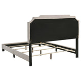 Tamarac Beige Upholstered Nailhead Queen Bed by Coaster at Eve Furniture