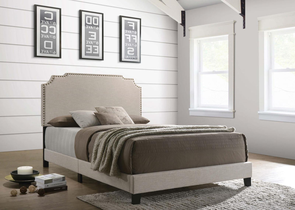 Tamarac Beige Upholstered Nailhead Queen Bed by Coaster at Eve Furniture