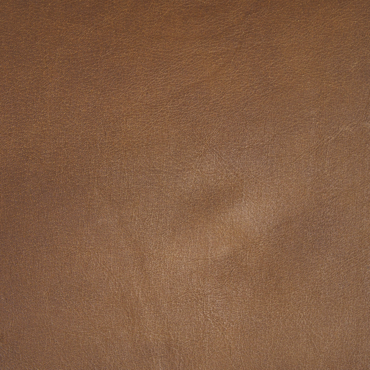 Taniel Brown Leather w/ Black Metal Stool by Mercana at Eve Furniture