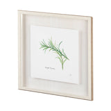 Tarragon v2 by Chris Paschke a Framed Art Print Matted under Glass by Mercana at Eve Furniture