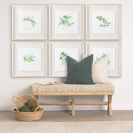 Tarragon v2 by Chris Paschke a Framed Art Print Matted under Glass by Mercana at Eve Furniture