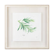 Tarragon v2 by Chris Paschke a Framed Art Print Matted under Glass by Mercana at Eve Furniture