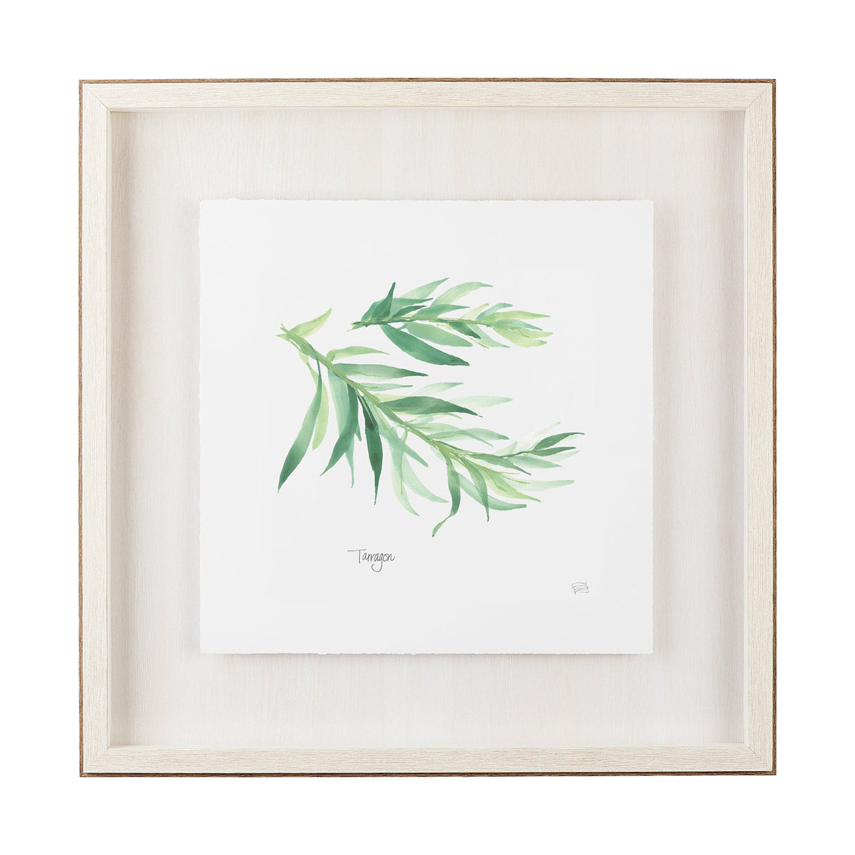 Tarragon v2 by Chris Paschke a Framed Art Print Matted under Glass by Mercana at Eve Furniture