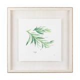 Tarragon v2 by Chris Paschke a Framed Art Print Matted under Glass by Mercana at Eve Furniture