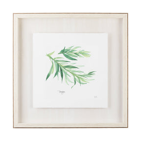 Tarragon v2 by Chris Paschke a Framed Art Print Matted under Glass by Mercana at Eve Furniture