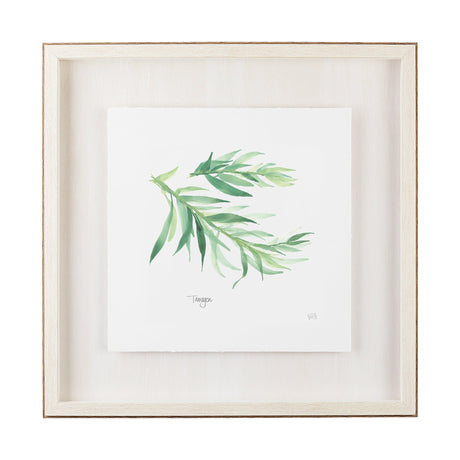 Tarragon v2 by Chris Paschke a Framed Art Print Matted under Glass by Mercana at Eve Furniture