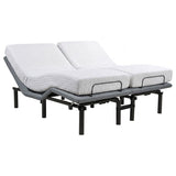 Tasca 2-Piece Split Eastern King Dual-Motor Adjustable Bed Base by Coaster at Eve Furniture